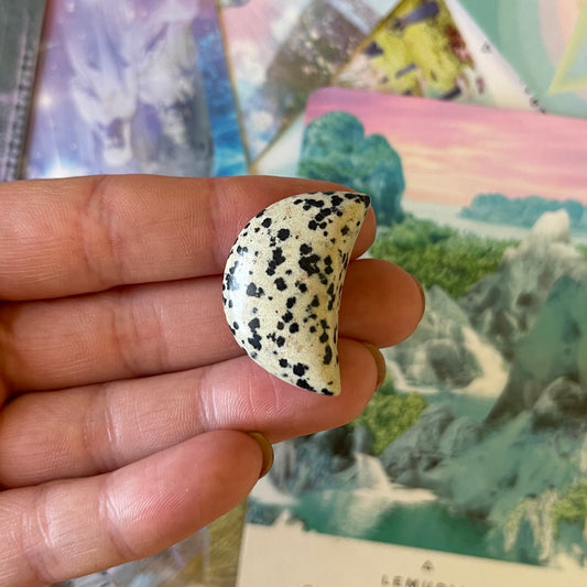 Dalmatian Jasper Moon Magnet